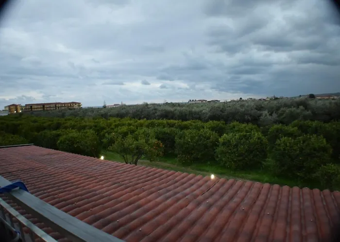 Artemis * Mirto Crosia